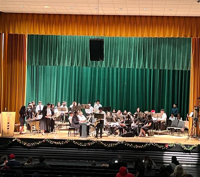 A view of the whole orchestra